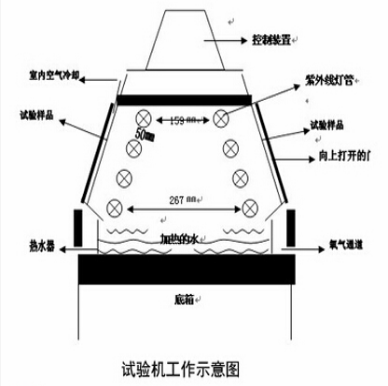 1743218509183648.jpg 1743218506477.jpg